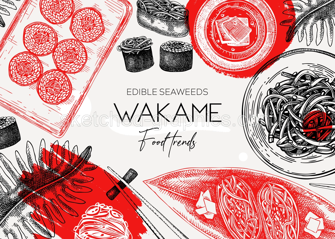 Edible seaweed frame design in collage style. Hand drawn wakame sketches. Sea vegetables vector illustration. Japanese cuisine dishes menu. Healthy food ingredients in engraved style Illustration